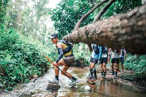 BIB: 
                            <button type="button" onclick="openModal(25374909)" class="btn btn-primary btn-sm float-right btn-popup" data-toggle="modal" data-target=".modal-high-quality">
                        <i class="fas fa-shopping-cart"></i> Add to Cart
                    </button>
                                            <button type="button" onclick="isThisMe(25374909, true)" class="btn btn-success btn-sm float-right btn-popup btn-isme hidden" data-toggle="tooltip" data-placement="bottom" title="นี่คือรูปของคุณใช่ไหม คลิกที่นี่เพื่อเอาเข้าอัลบั้ม">
                        <i class="fas fa-plus"></i> Add to album
                    </button>
                    <button type="button" onclick="isThisMe(25374909, false)" class="btn btn-warning btn-sm float-right btn-popup btn-isnotme hidden">
                        <i class="fas fa-ban"></i> Remove from album
                    </button>